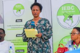 File image of IEBC Commissioner Ann Nderitu